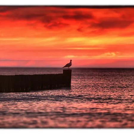 Der Fischlaender Garni