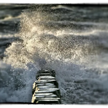 Hotel Der Fischlaender Garni Ahrenshoop